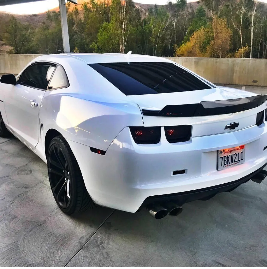 Camaro 10-13 Stealth Wicker Bill