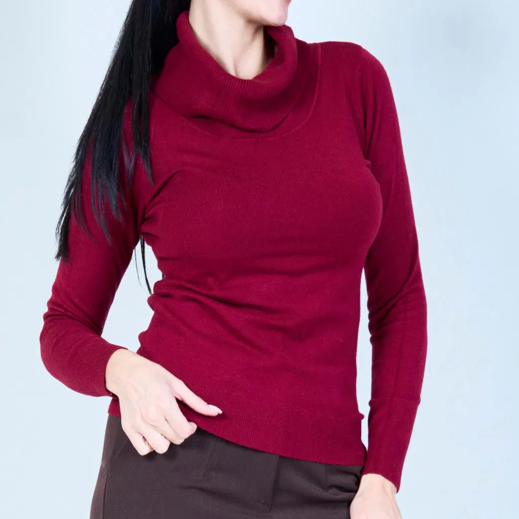 Elegant knit sweater with cowl neck wholesale